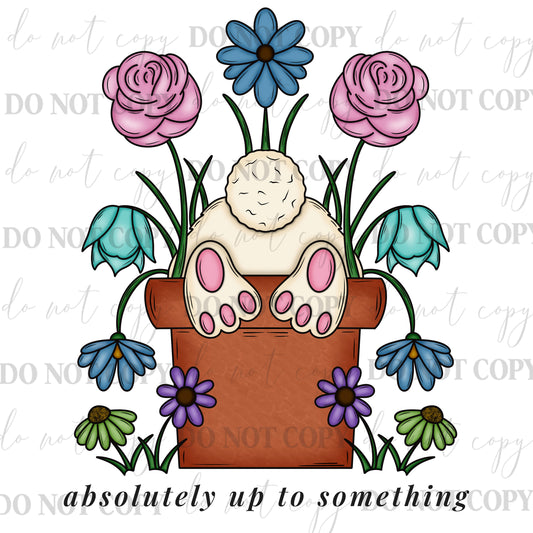 Absolutely Up to Something Bunny PNG
